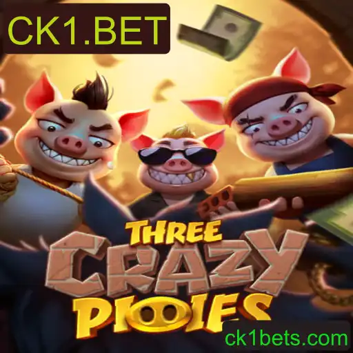 Entenda o Fascinante Mundo de ThreeCrazyPiggies no CK1.BET
